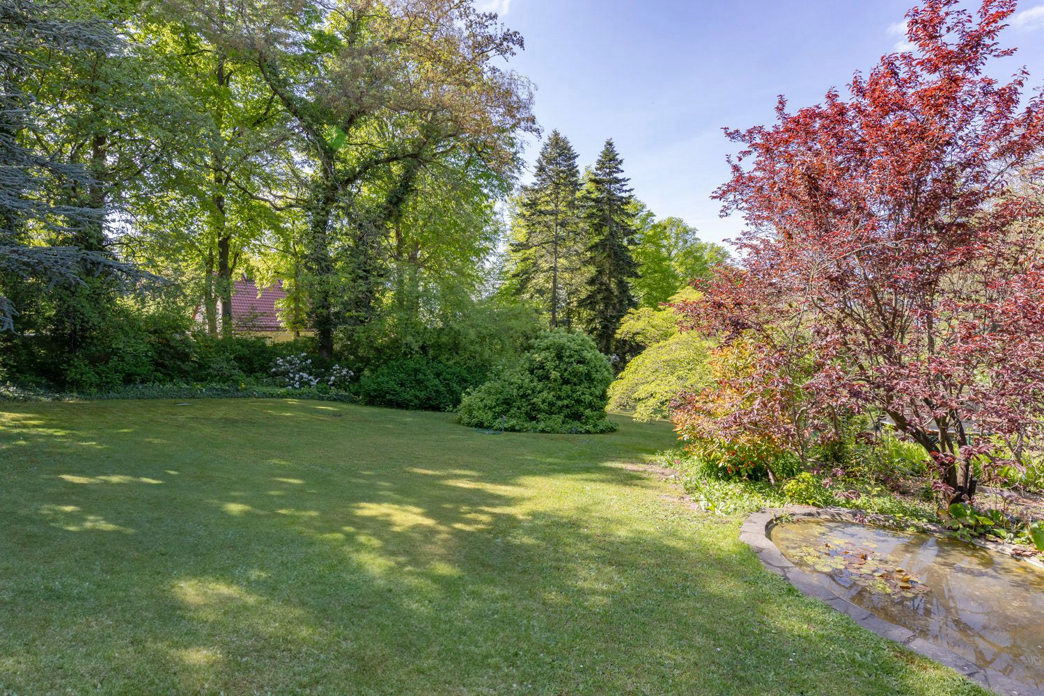 eingewachsener Garten