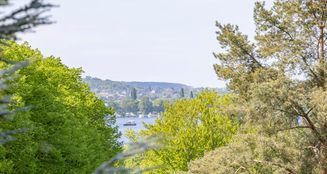 von_poll_real_estate_property_25109014_image_12