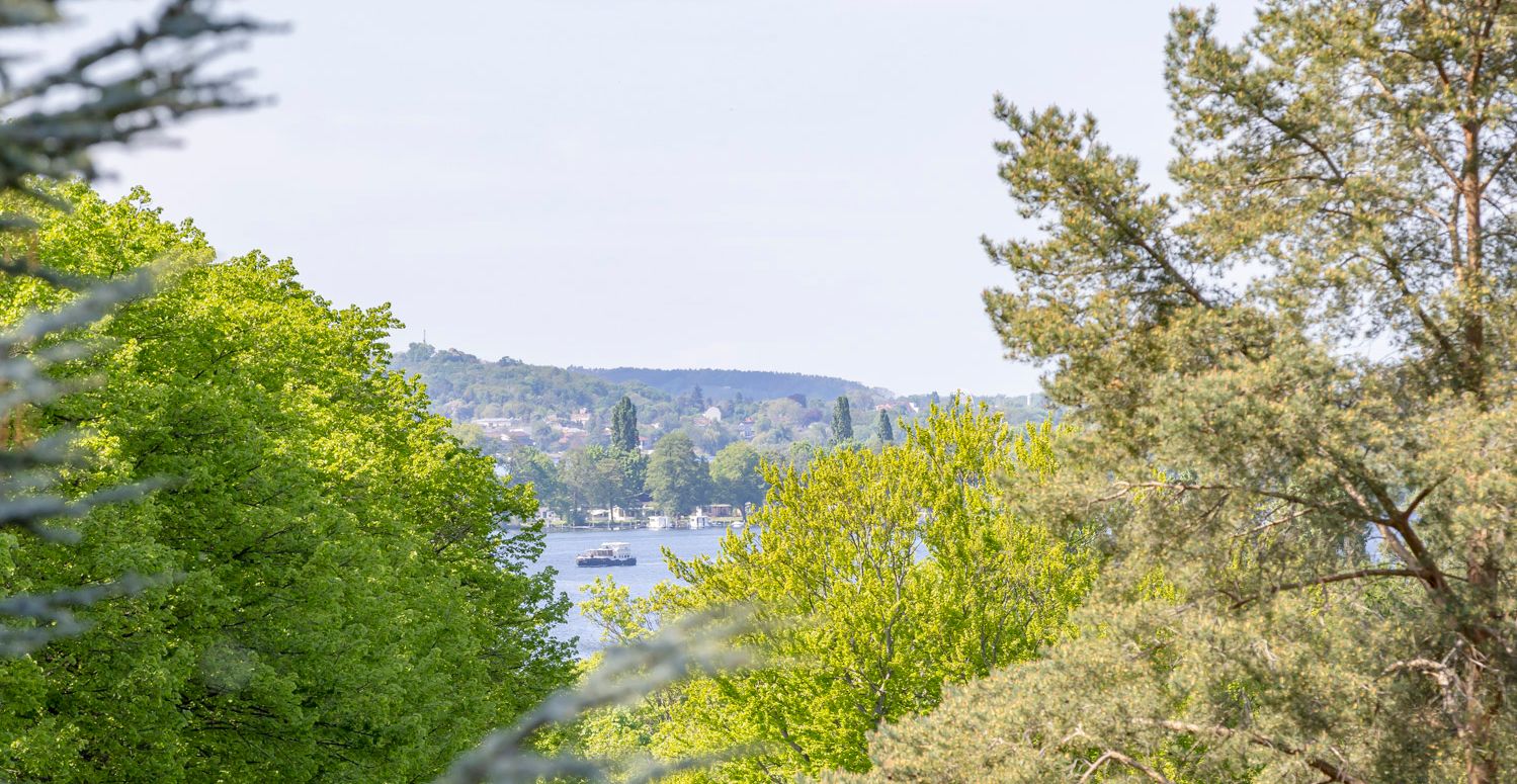 Ausblick Dachgeschoss