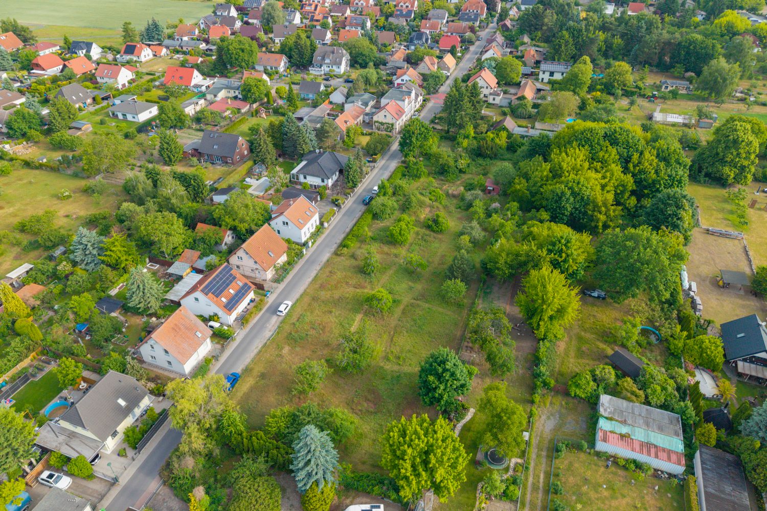 die bebaura Fläche