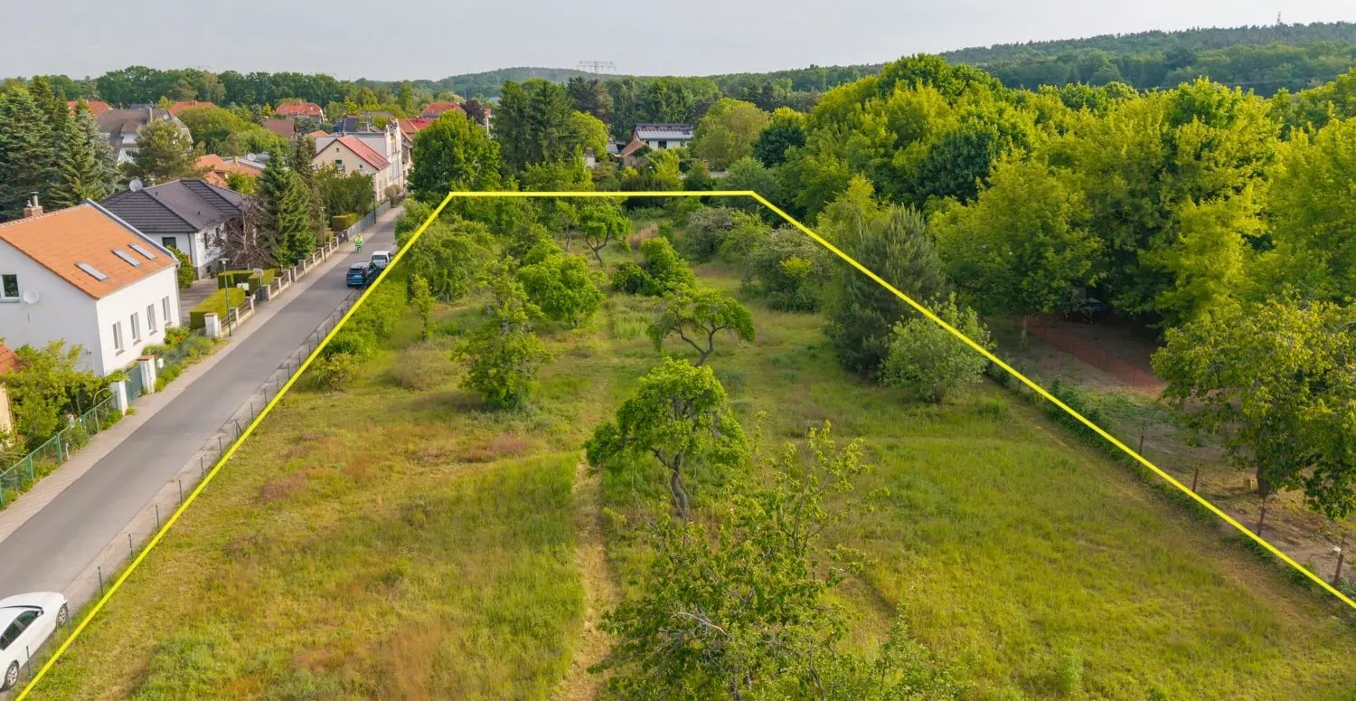 das gesamte Grundstück