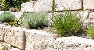 von_poll_real_estate_property_25109010_image_12