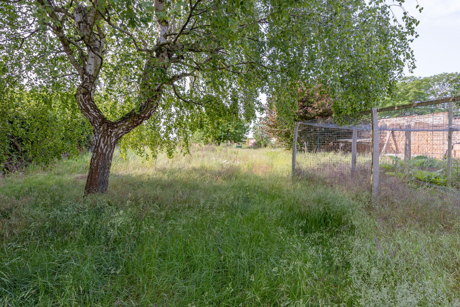 Blick in den Garten