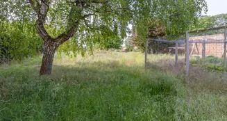 von_poll_real_estate_property_25310008_image_18