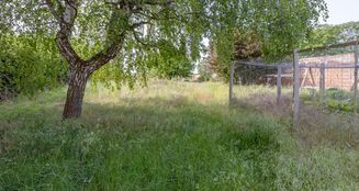 von_poll_real_estate_property_25310008_image_19