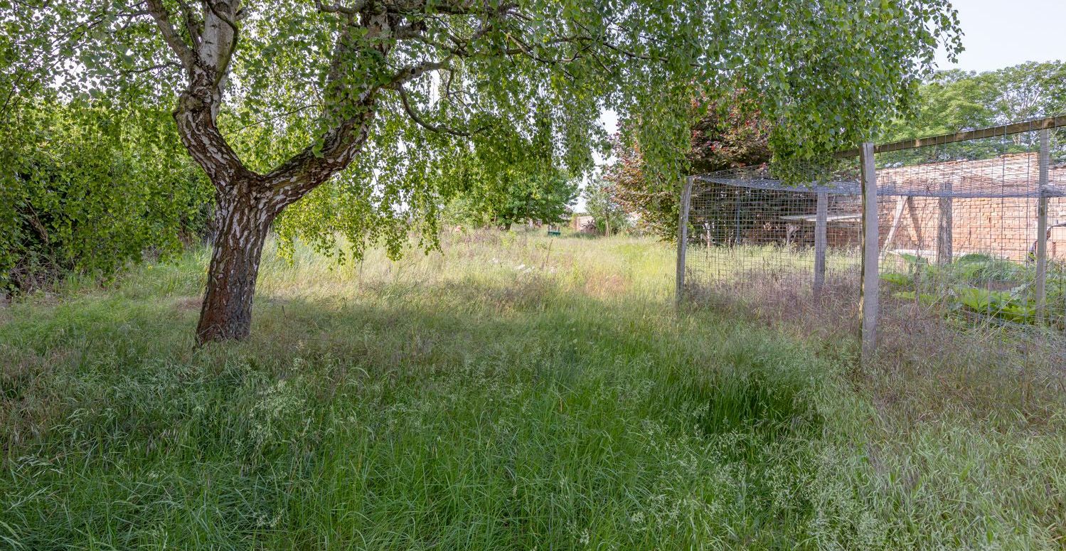 Blick in den Garten