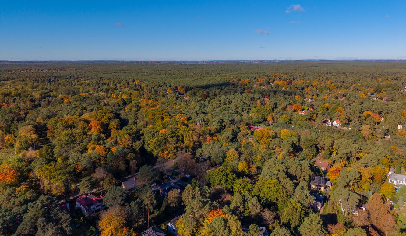 Luftbild Ort Wilhelmshorst