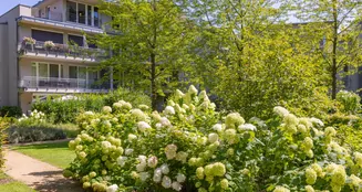 von_poll_real_estate_property_25109034_image_14