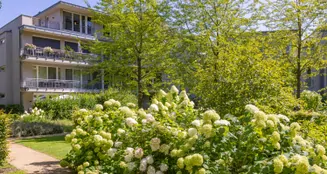 von_poll_real_estate_property_25109034_image_14