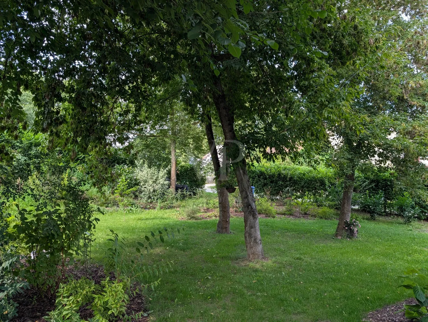 Gartenimpression Sommer II