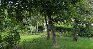 von_poll_real_estate_property_26109002_image_14