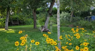 von_poll_real_estate_property_26109002_image_16