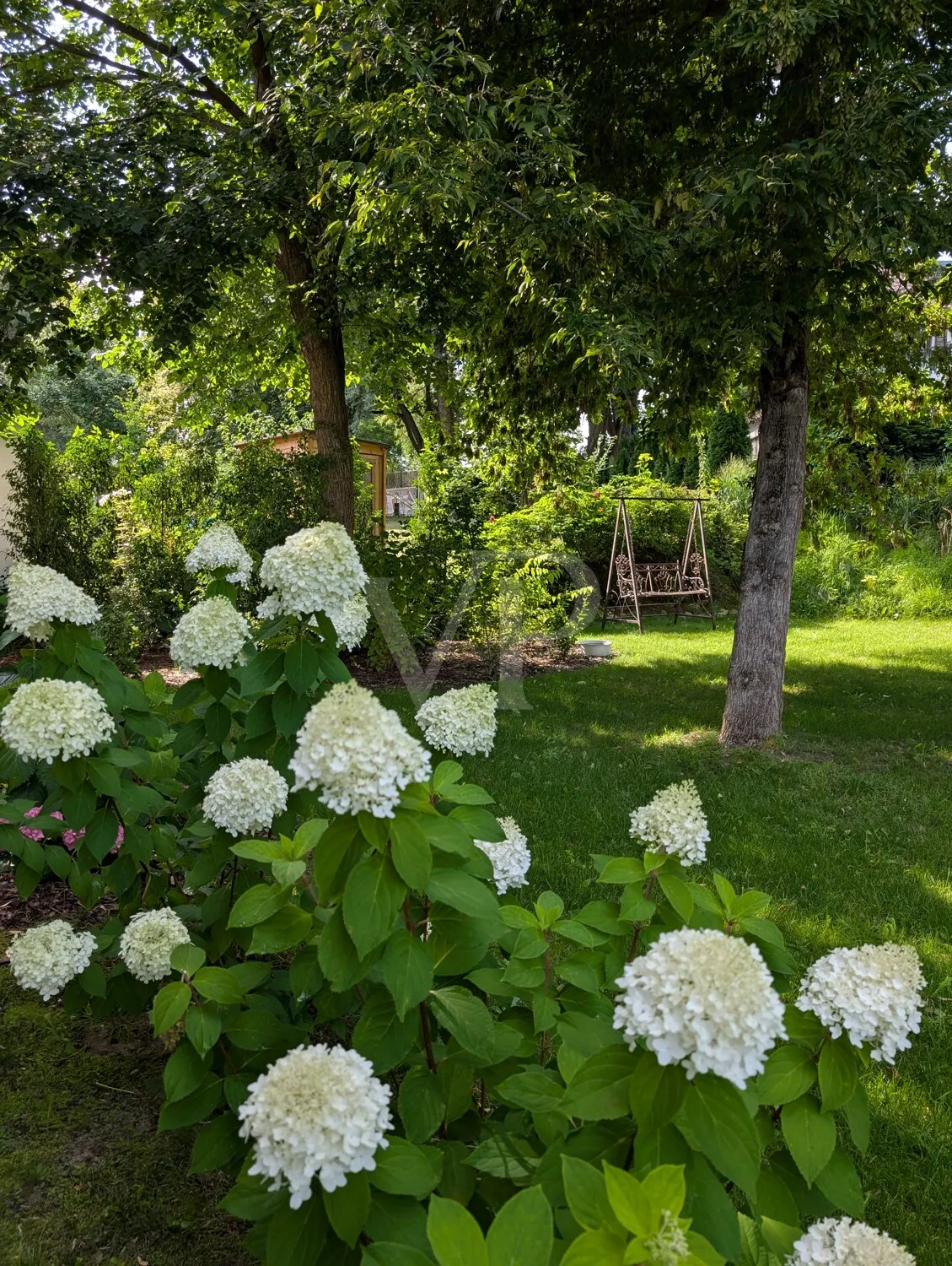 Gartenimpression Sommer III