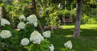 von_poll_real_estate_property_26109002_image_15