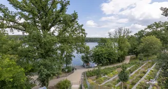 von_poll_real_estate_property_26109004_image_9