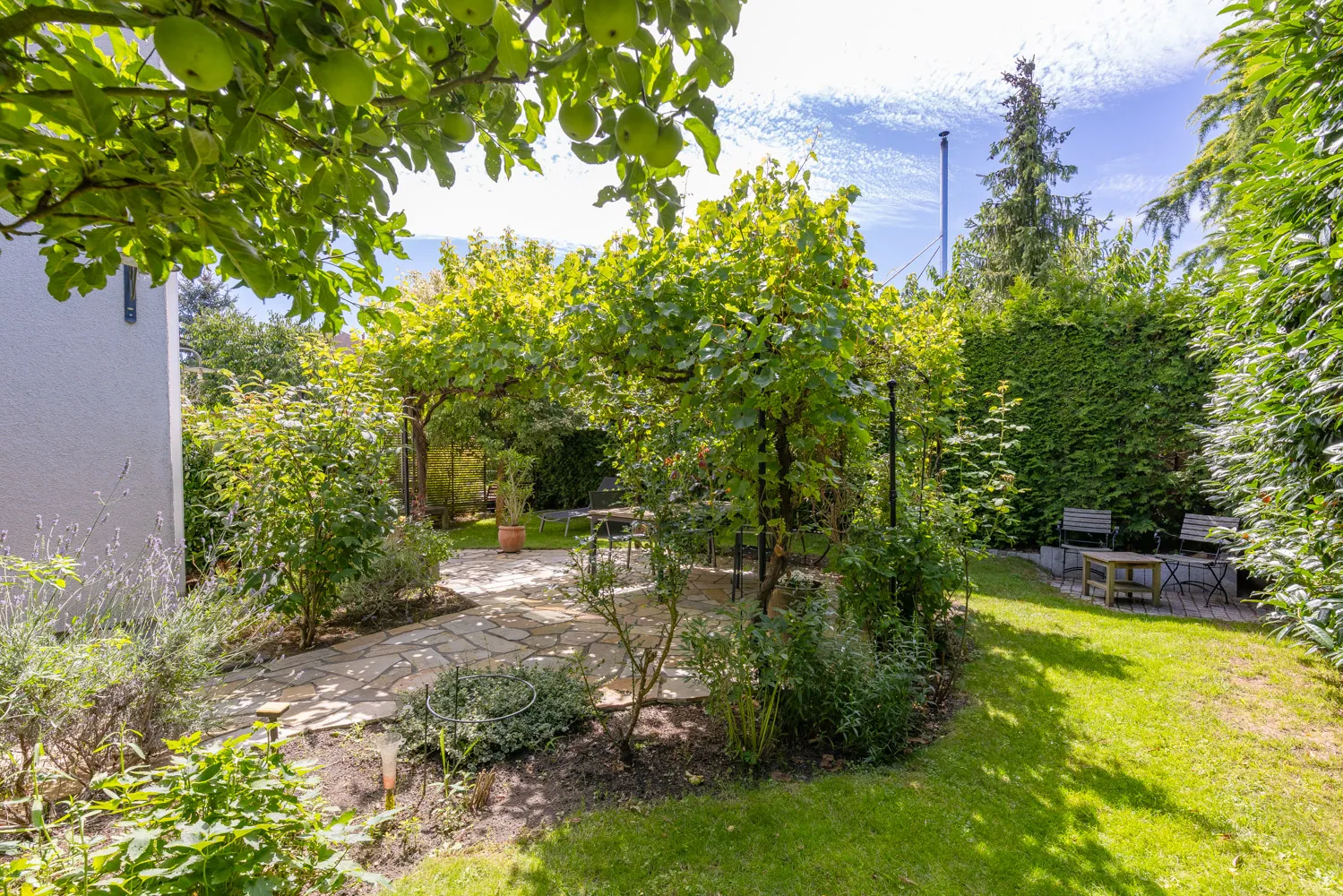 eingewachsener Garten