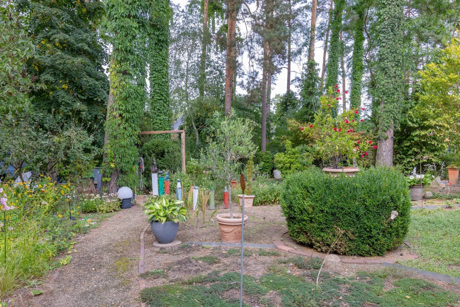 Blick in den Garten