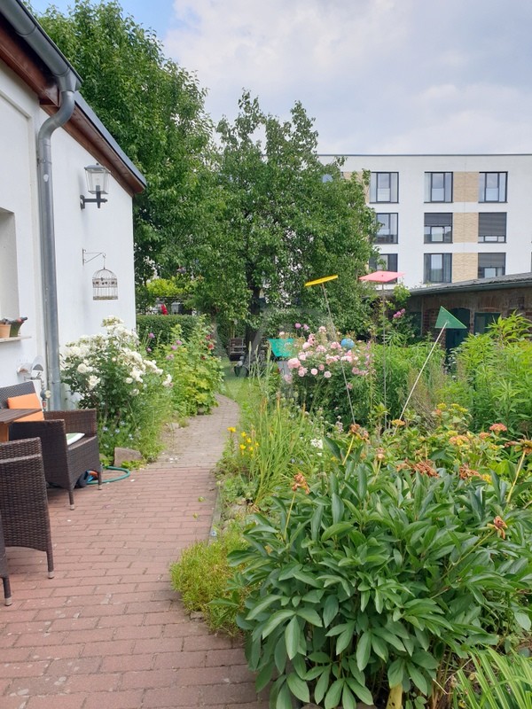 Gartenblick von der Terrasse