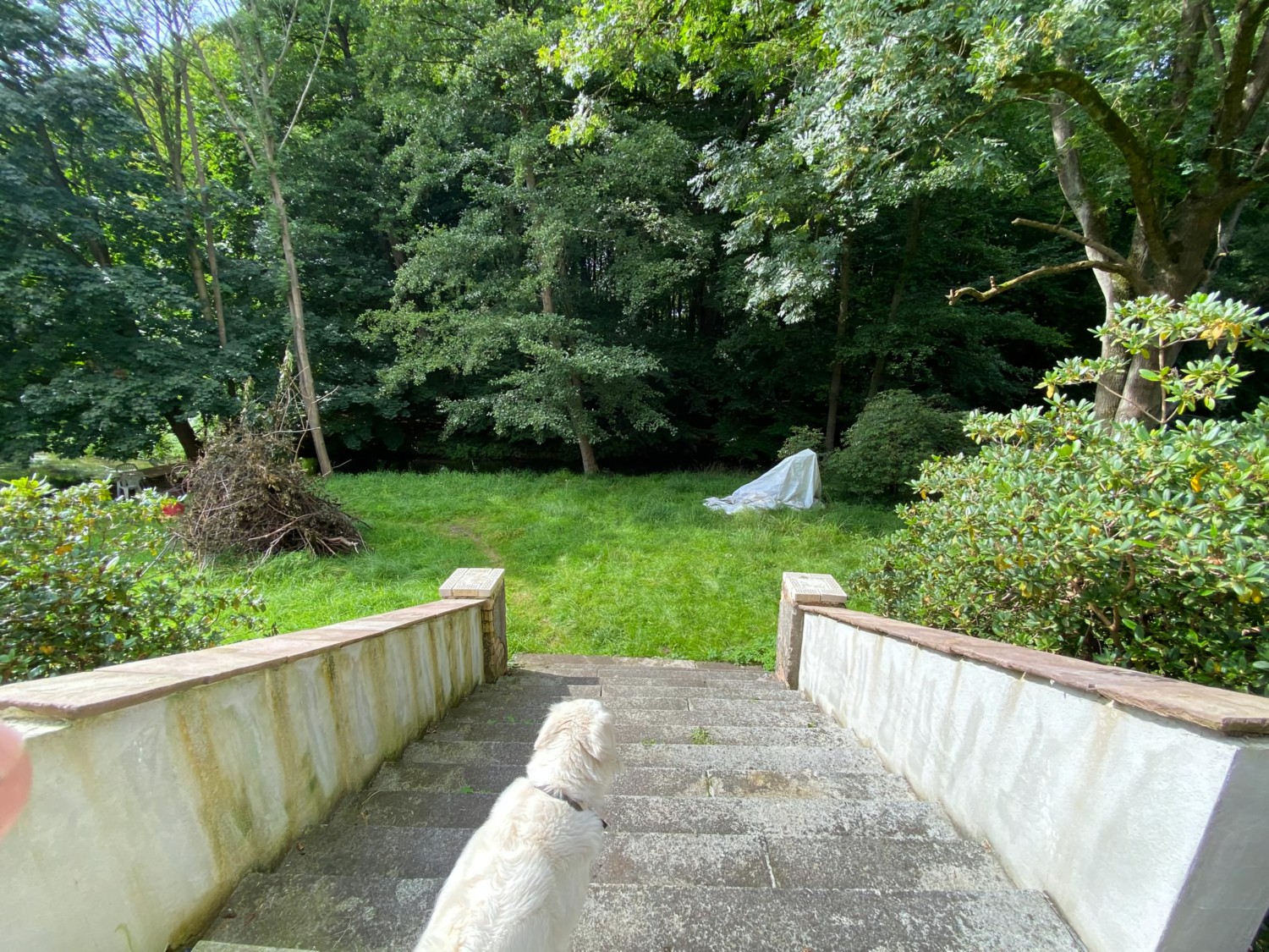 Treppe Wintergarten