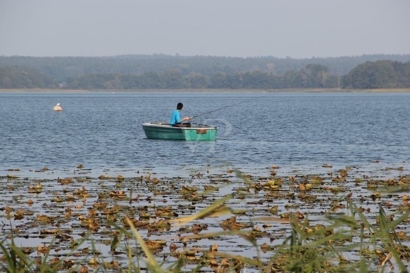 Ferienimmobilie am See