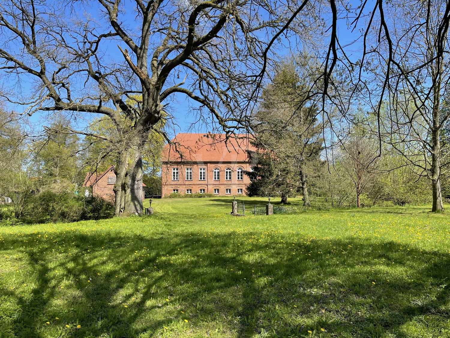 Blick vom Park