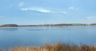 von_poll_real_estate_property_25086003_image_25