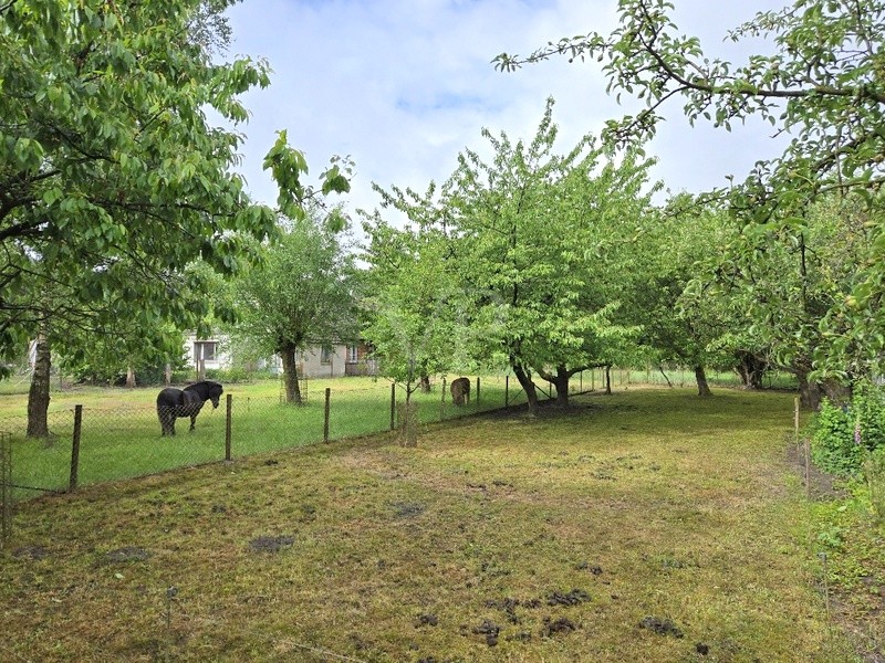 Blick Grundstück