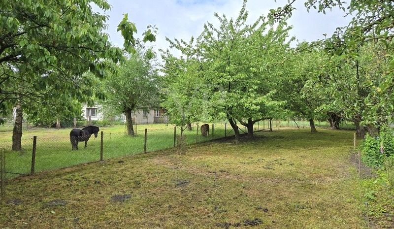 Blick Grundstück