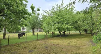 von_poll_real_estate_property_25086004_image_18