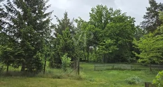 von_poll_real_estate_property_25086004_image_22