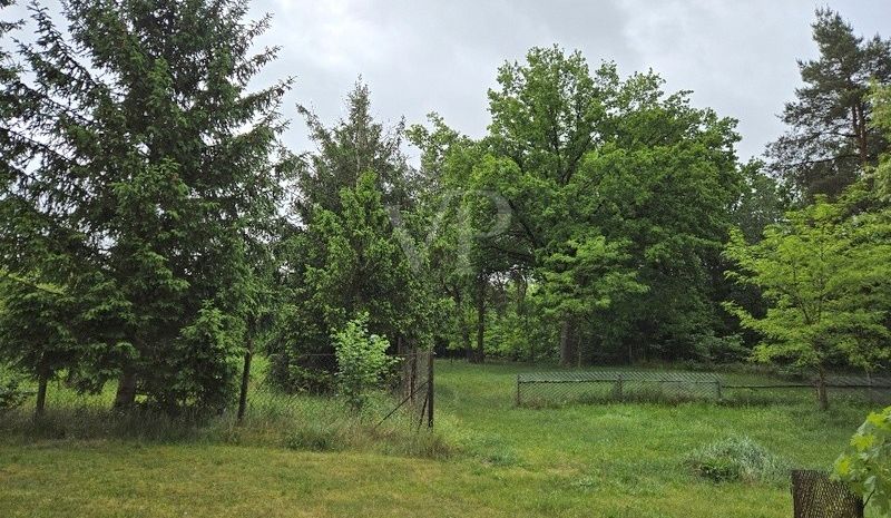 Blick Grundstück