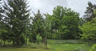 von_poll_real_estate_property_25086004_image_22