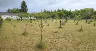 von_poll_real_estate_property_25086004_image_17