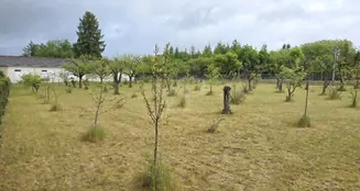 von_poll_real_estate_property_25086004_image_17