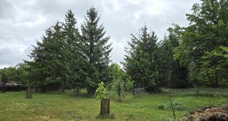 von_poll_real_estate_property_25086004_image_23