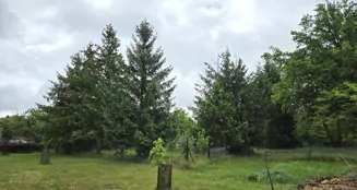 von_poll_real_estate_property_25086004_image_23