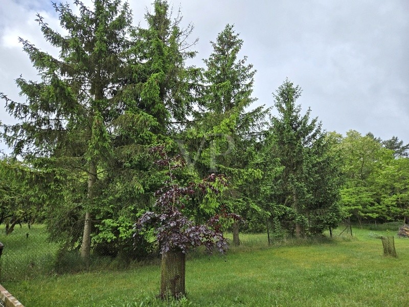 Blick Grundstück