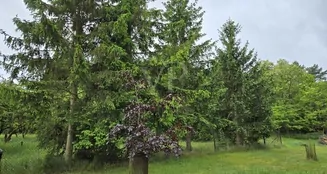 von_poll_real_estate_property_25086004_image_21