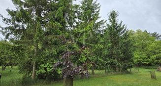 von_poll_real_estate_property_25086004_image_21