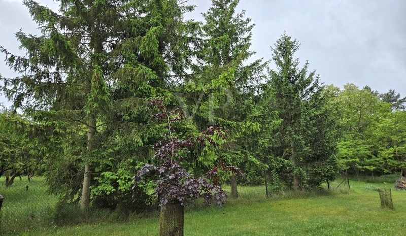 Blick Grundstück