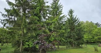 von_poll_real_estate_property_25086004_image_21