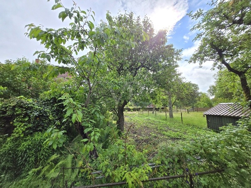 Blick Grundstück