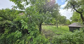 von_poll_real_estate_property_25086004_image_19