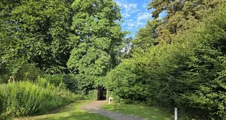 von_poll_real_estate_property_25086013_image_6