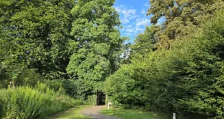 von_poll_real_estate_property_25086013_image_6