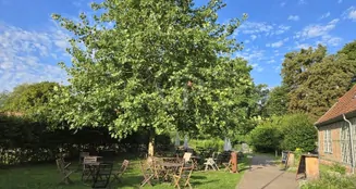 von_poll_real_estate_property_25086013_image_5