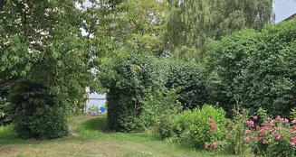 von_poll_real_estate_property_25086012_image_21