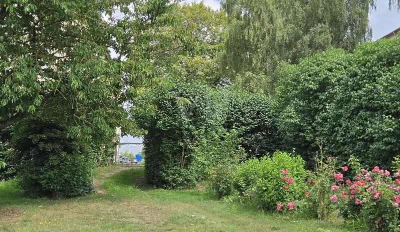 Grundstück hintere Einfahrt