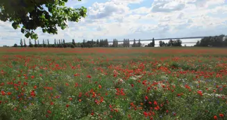 von_poll_real_estate_property_25086015_image_2