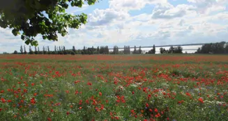 von_poll_real_estate_property_25086015_image_2